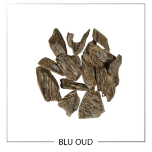 العود الأزرق