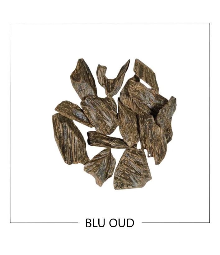 العود الأزرق